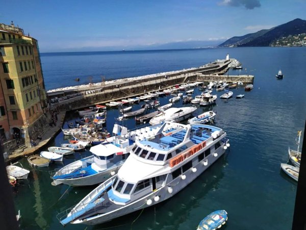 appartamento in affitto a Camogli