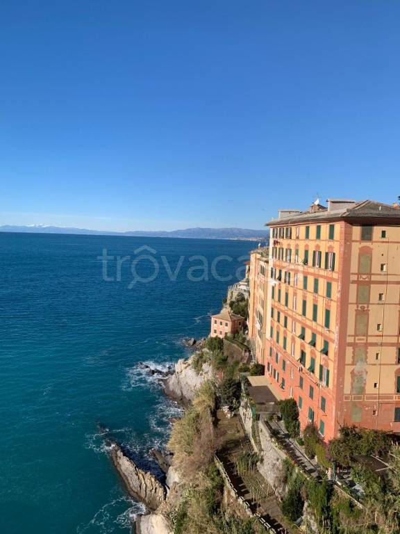 appartamento in affitto a Camogli