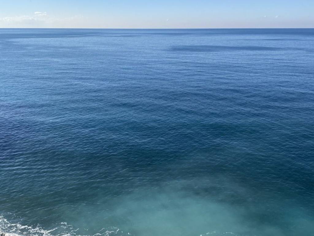 appartamento in affitto a Camogli