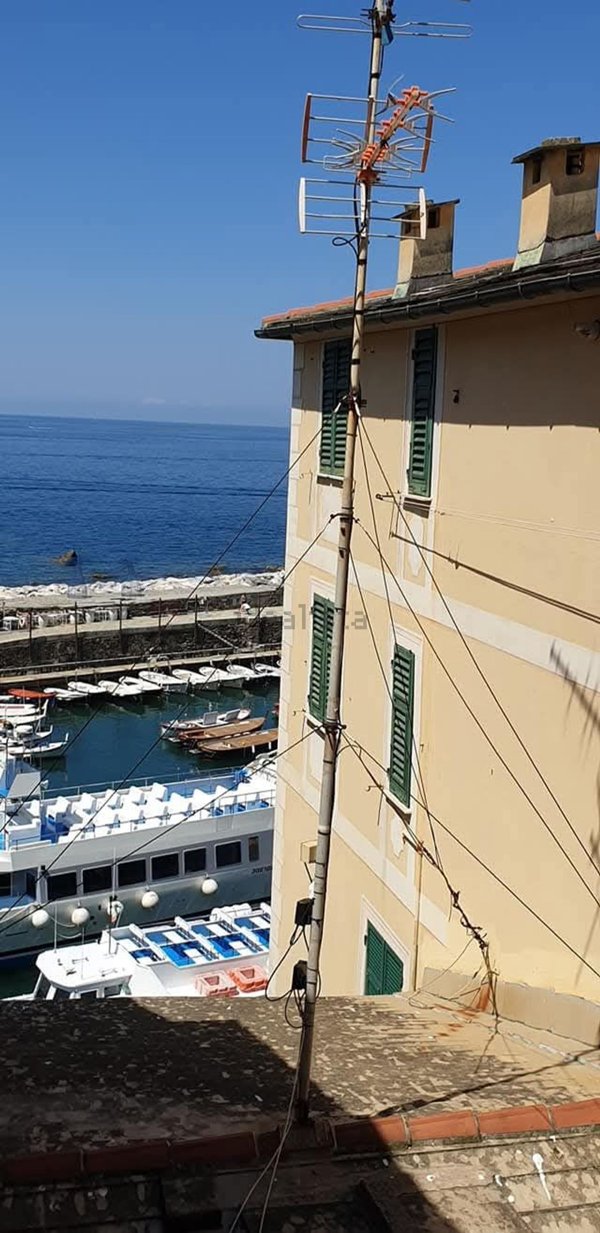 appartamento in affitto a Camogli