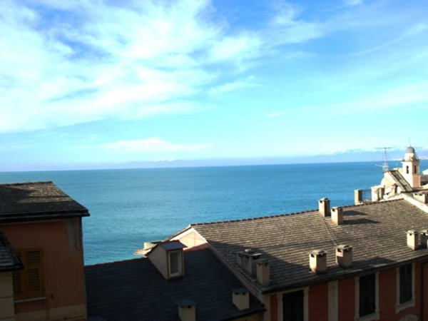 appartamento in affitto a Camogli
