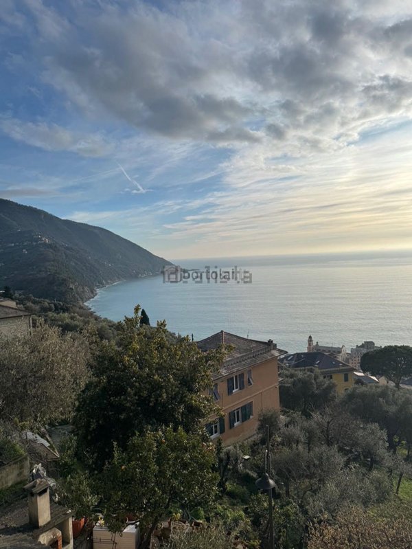 appartamento in affitto a Camogli