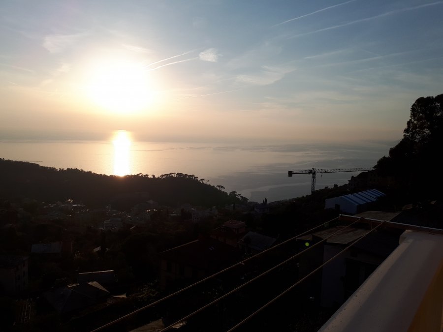 appartamento in affitto a Camogli in zona Ruta