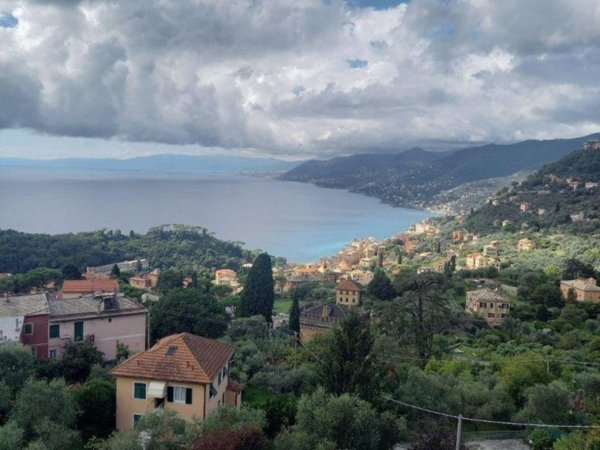 appartamento in affitto a Camogli in zona Ruta