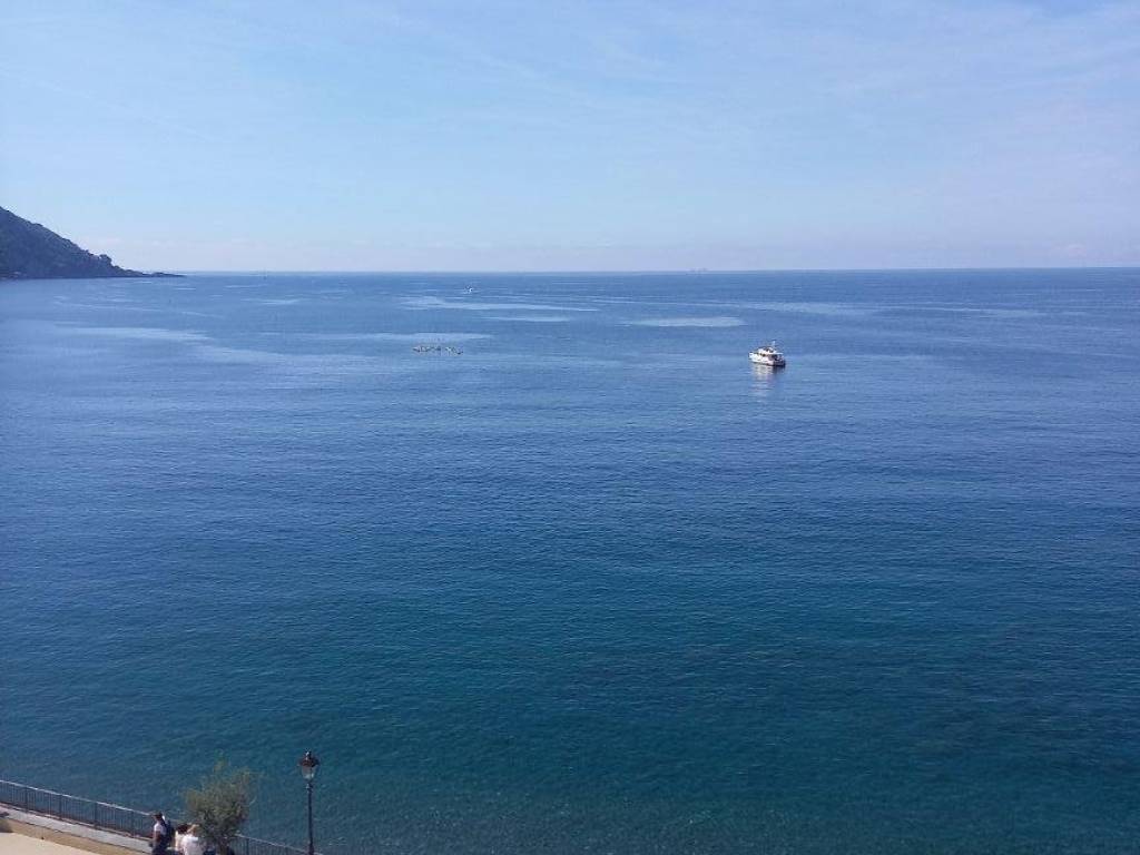 appartamento in affitto a Camogli