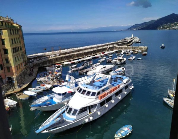 appartamento in affitto a Camogli in zona San Rocco