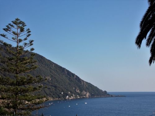 appartamento in affitto a Camogli in zona Ruta