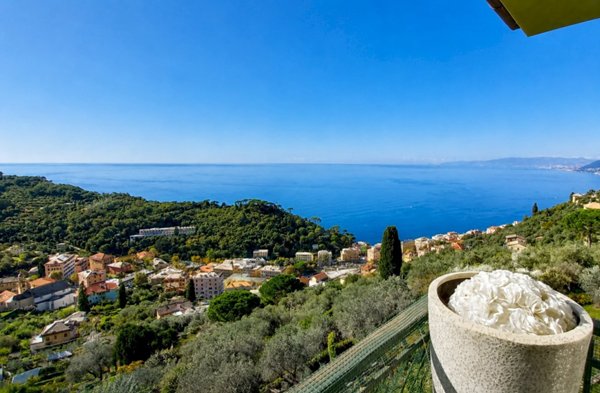 appartamento in affitto a Camogli in zona Ruta