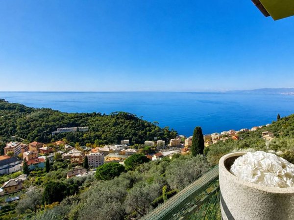 appartamento in affitto a Camogli in zona Ruta