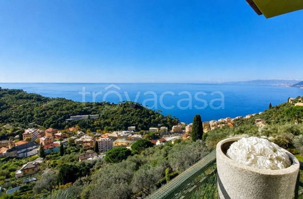 appartamento in affitto a Camogli in zona Ruta