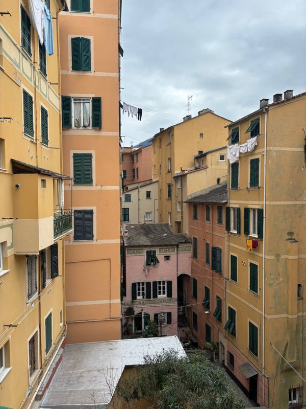 appartamento in affitto a Camogli