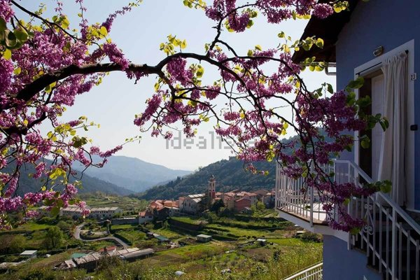 appartamento in affitto a Casarza Ligure in zona Bargone