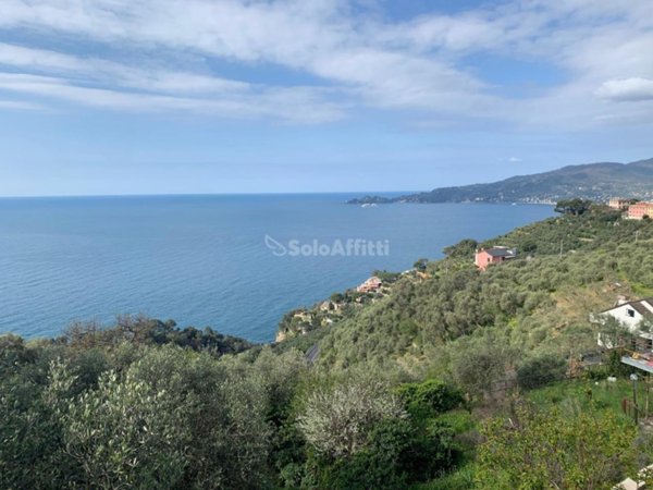 appartamento in affitto a Chiavari in zona Sant'Andrea di Rovereto