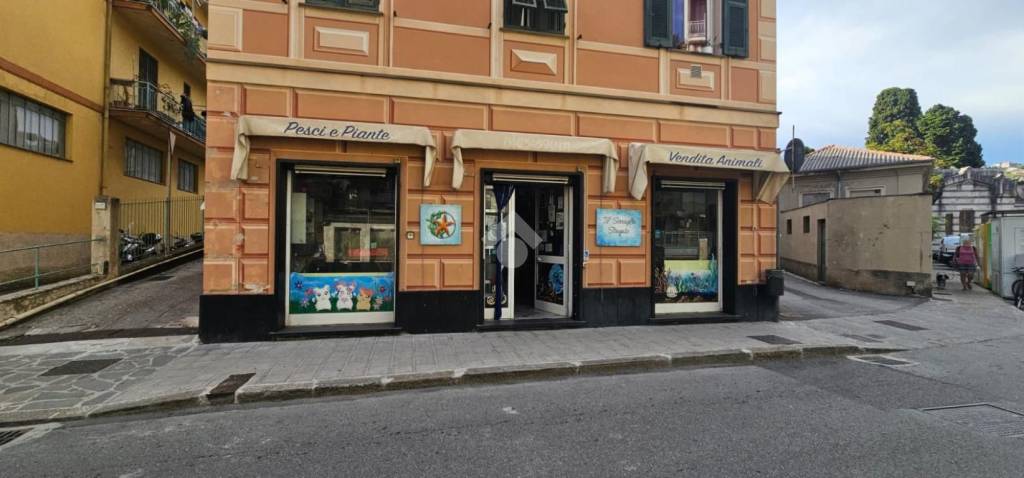 immagine annuncio 0 di 15