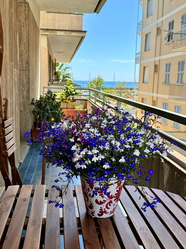 appartamento in affitto a Chiavari