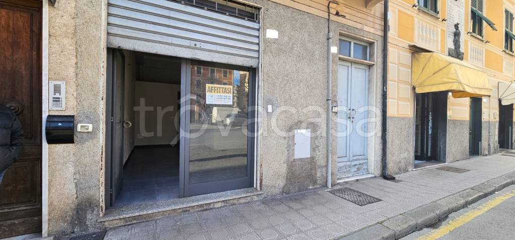 negozio in affitto a Chiavari
