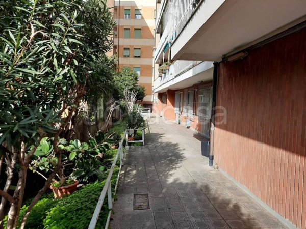 appartamento in affitto a Chiavari