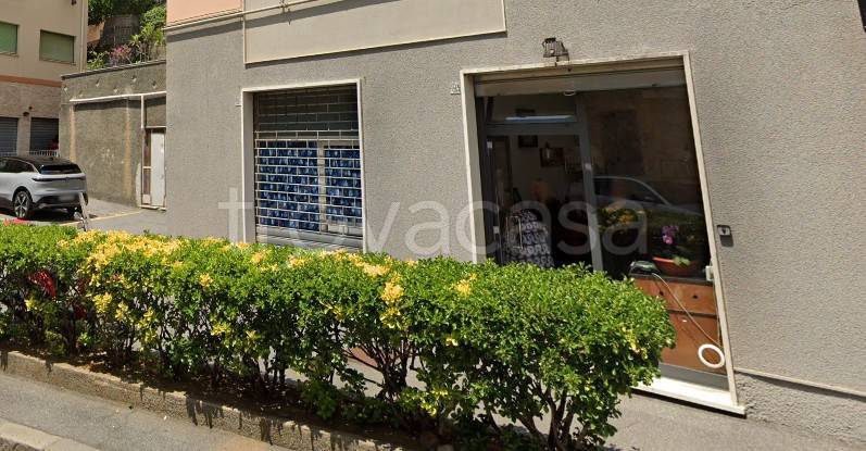 locale commerciale in affitto a Cogoleto