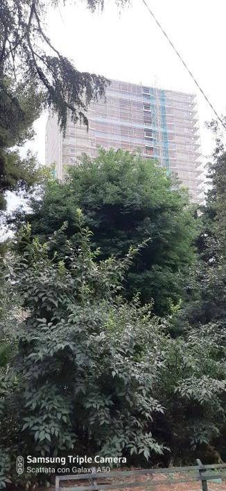 appartamento in affitto a Genova in zona Sampierdarena