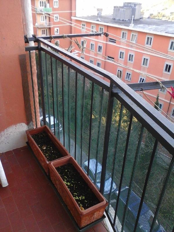 camera singola in affitto a Genova