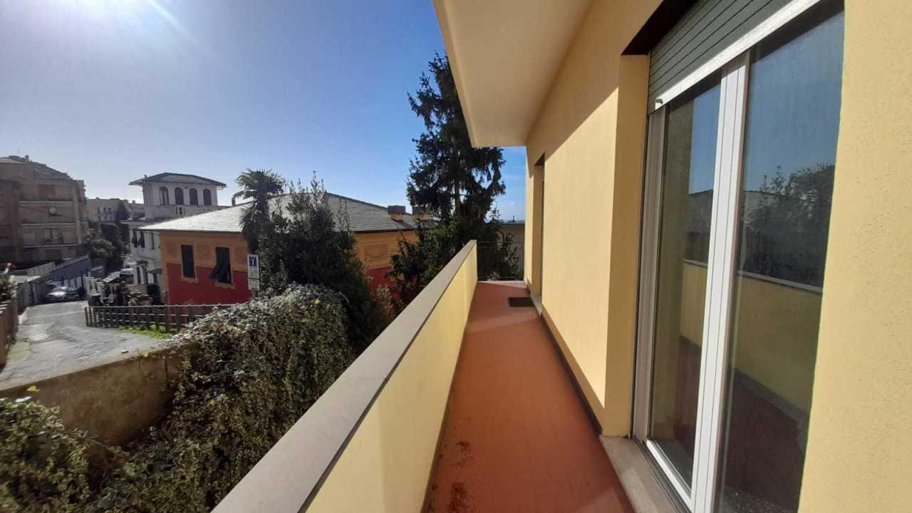 appartamento in affitto a Genova