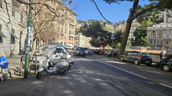 appartamento in affitto a Genova