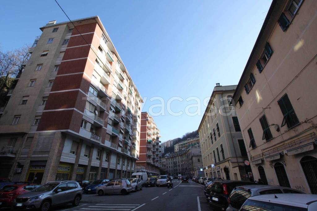 trivano in affitto a Genova in zona Marassi