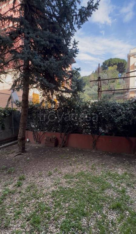appartamento in affitto a Genova