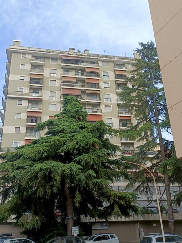 appartamento in affitto a Genova in zona Sestri Ponente