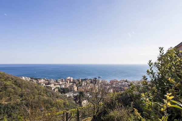 appartamento in affitto a Genova