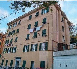 appartamento in affitto a Genova