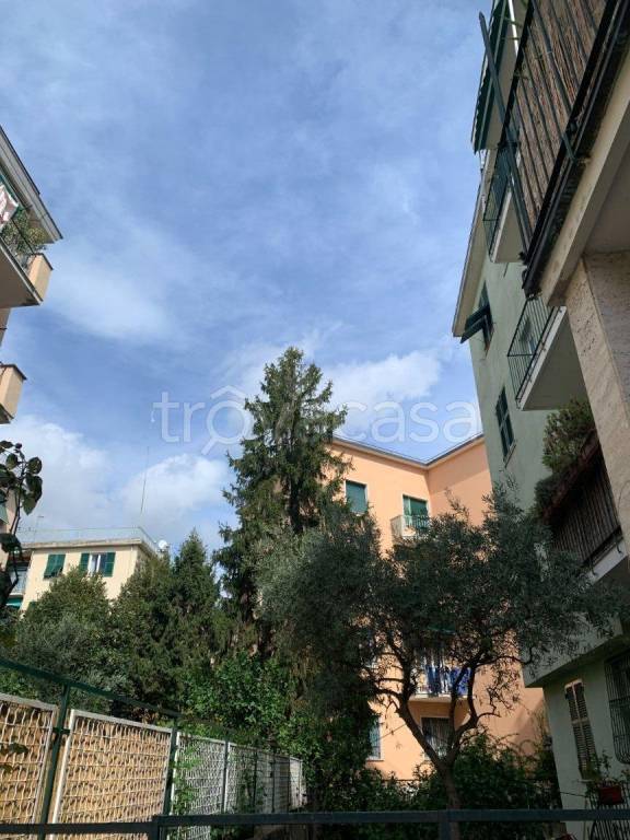 appartamento in affitto a Genova