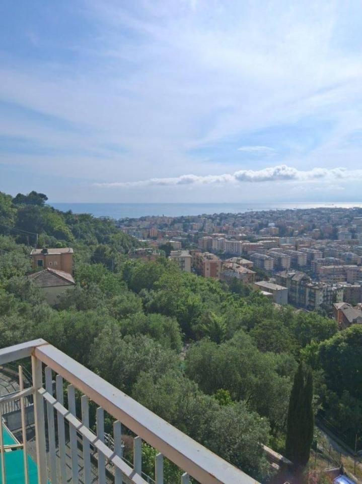 appartamento in affitto a Genova in zona Apparizione