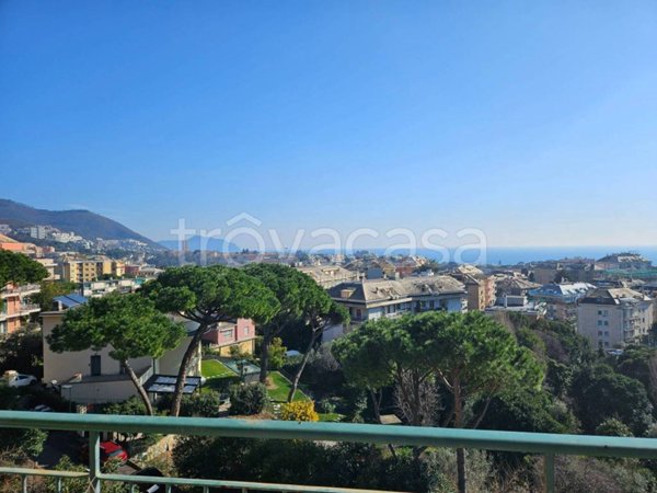 appartamento in affitto a Genova in zona Sturla