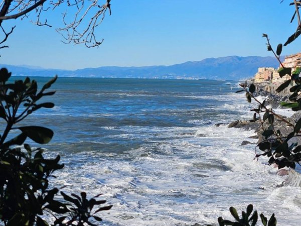 appartamento in affitto a Genova in zona Nervi