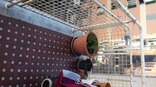 appartamento in affitto a Genova in zona San Fruttuoso