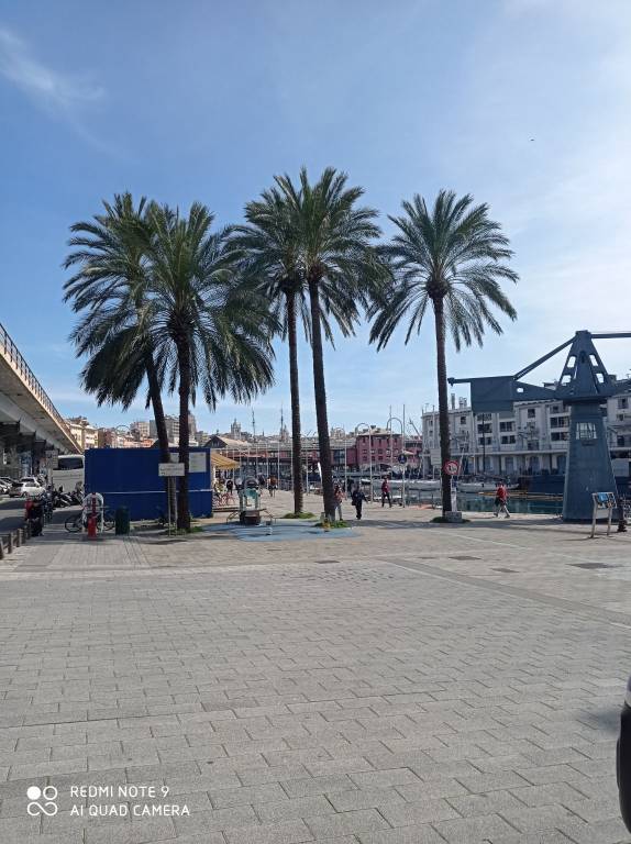 appartamento in affitto a Genova