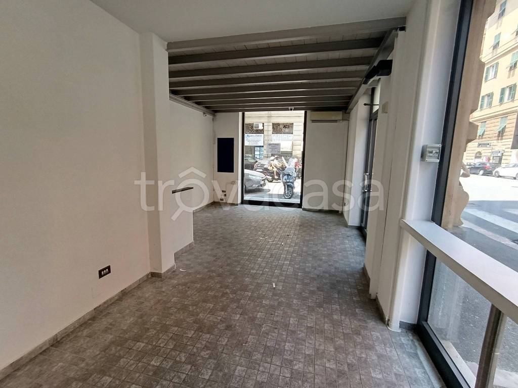 quadrivano in affitto a Genova in zona Foce