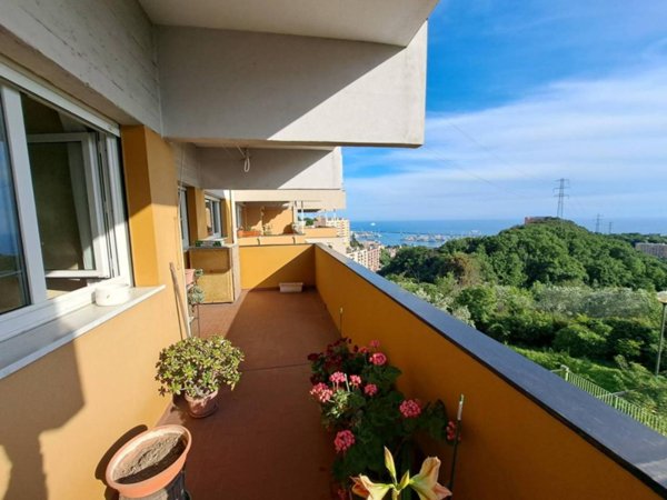 appartamento in affitto a Genova in zona Lagaccio / Granarolo