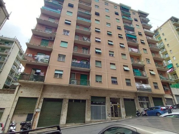 appartamento in affitto a Genova in zona Sampierdarena