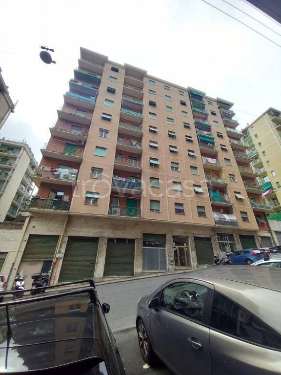 appartamento in affitto a Genova in zona Sampierdarena