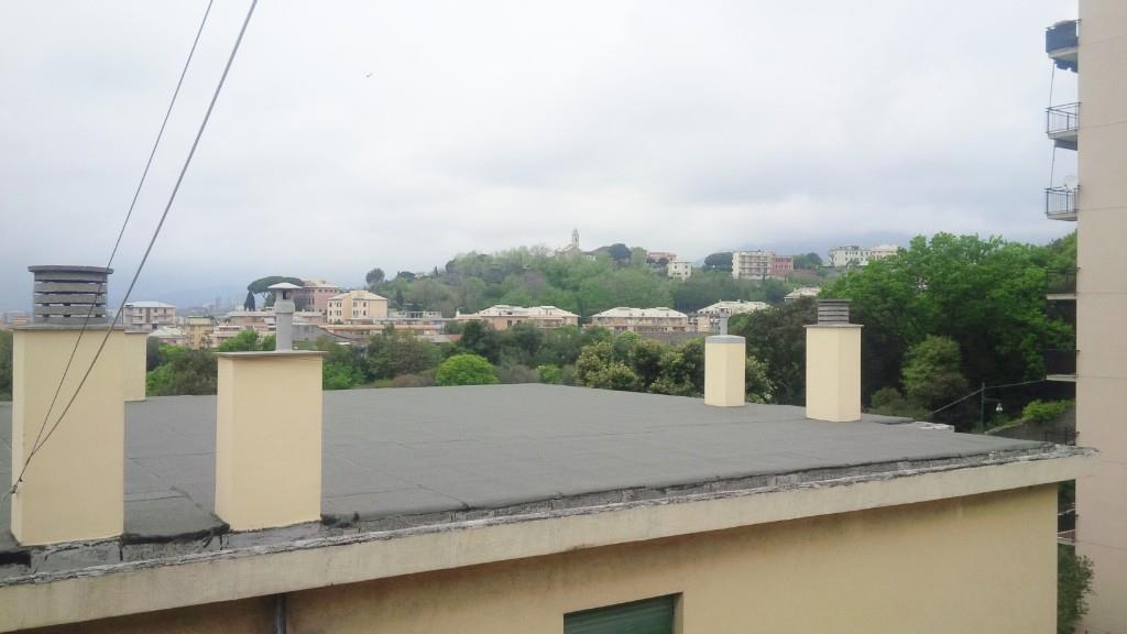 appartamento in affitto a Genova in zona Sampierdarena