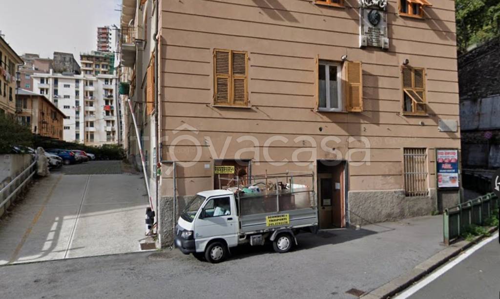 trivano in affitto a Genova in zona DiNegro