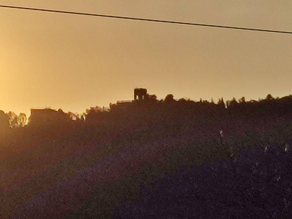appartamento in affitto a Genova in zona Marassi
