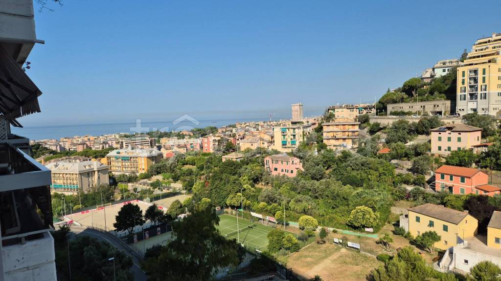 appartamento in affitto a Genova