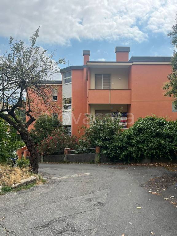 appartamento in affitto a Genova in zona Albaro