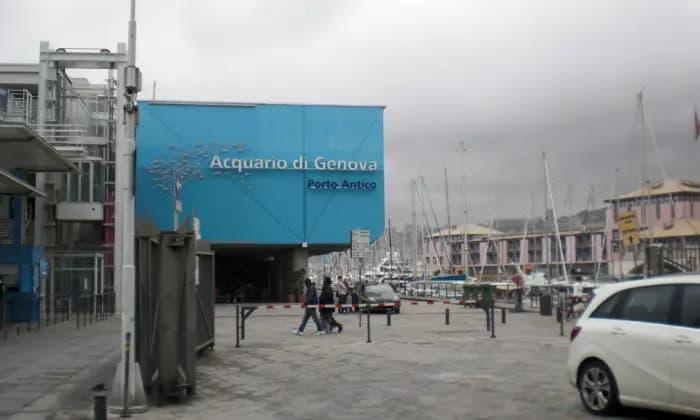 appartamento in affitto a Genova in zona Sottoripa / Maddalena / Molo