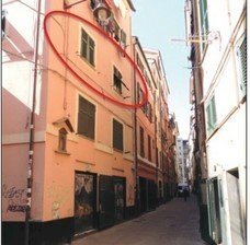 appartamento in affitto a Genova