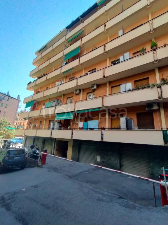 appartamento in affitto a Genova in zona Molassana