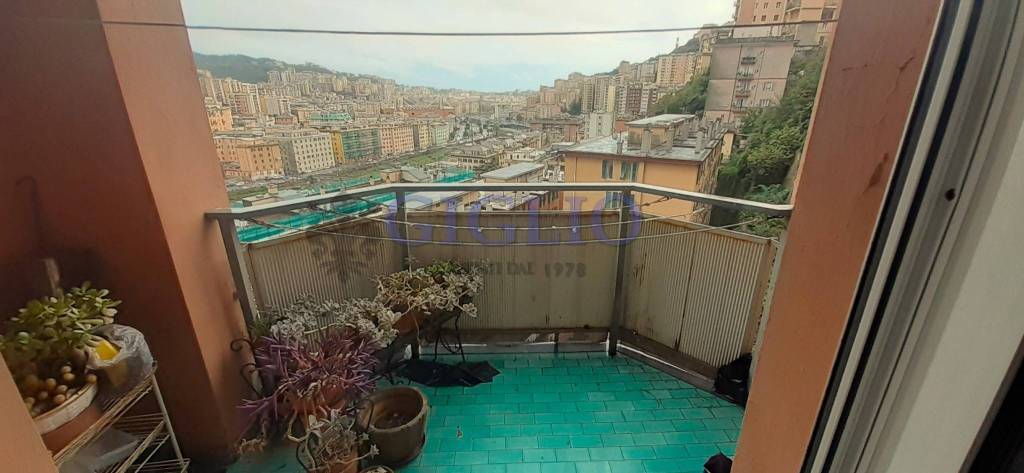 appartamento in affitto a Genova in zona Staglieno
